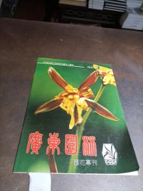 广东园林1991（3）：兰花专刊