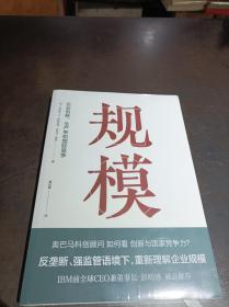 规模- 企业创新、生产和国际竞争 （全新未拆封）