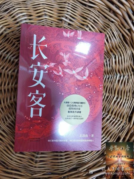 长安客（大唐版《人类群星闪耀时》，李白、杜甫、王维、白居易、元稹、柳宗元、刘禹锡、李商隐八位诗人命运瞬间的特写）