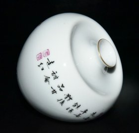 清雍正珐琅彩昆虫苦瓜纹苹果尊一对7.8x10厘米