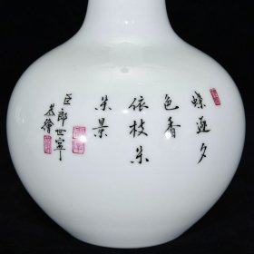 清雍正珐琅彩花蝶纹天球瓶19.5×13厘米