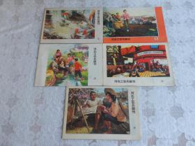 河北工农兵画刊1976年1，2，3，4，5，合售