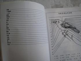 百鸟图谱