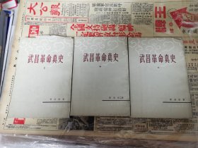 武昌革命真史（曹亚伯著，全三册）