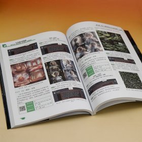 AI绘画全面精通：软件平台+脚本文案+设计制作+案例实战