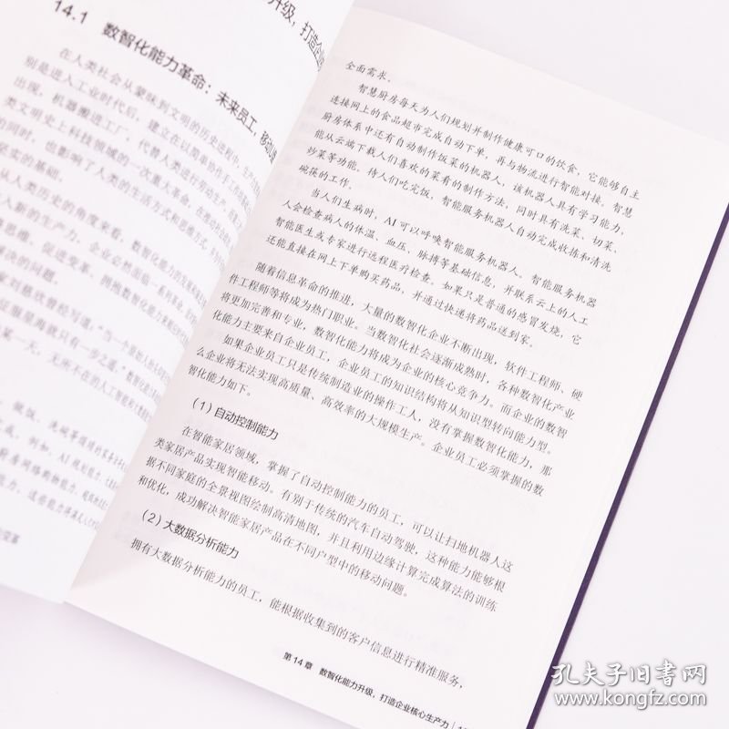 突破边界：AI大模型驱动数智化能力变革