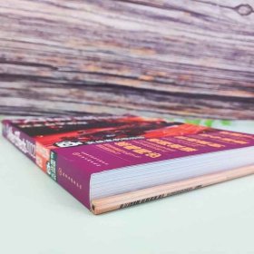 中文版After Effects 2022完全自学教程（实战案例视频版）