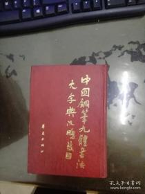 中国钢笔九体书法大字典