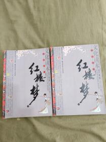 文化读本四大名著 红楼梦（上下）（二册全）：平装16开2008年一版一印（仅印6000册）（曹雪芹、高鹗 著 王齐洲 王丽娟 解读 岳麓书社 ）