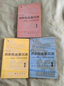 （1966-1976年记实）历史在这里沉思（1+2+3）（三册合售）：平装32开（周明 主编 华夏出版）