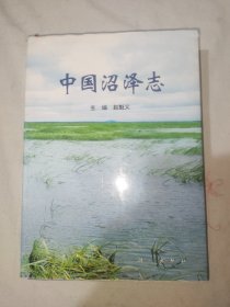 中国沼泽志：精装大16开1999年一版一印（仅印1000册）（赵魁义 主编 科学出版社）