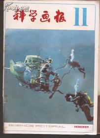 科学画报1982年11、12.2册合售