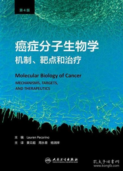 癌症分子生物学：机制、靶点和治疗(翻译版）