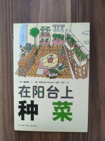 在阳台上种菜