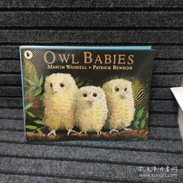 Owl Babies