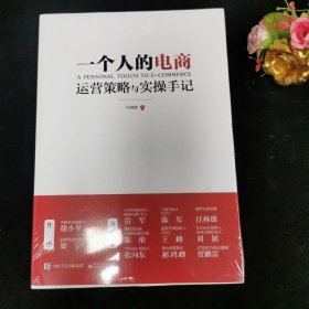 一个人的电商：运营策略与实操手记