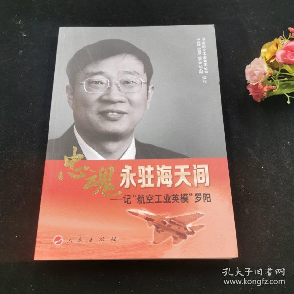 忠魂永驻海天间：记“航空工业英模”罗阳