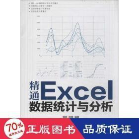 精通Excel数据统计与分析