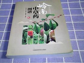 岭南中草药图谱