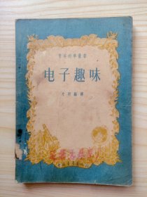电子趣味