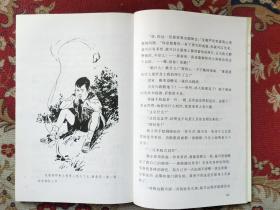 宝葫芦的秘密（语文新课标必读丛书)