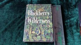 (外文原版) Blackberry Wilderness