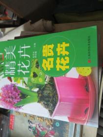 精品花卉----名貴花卉
