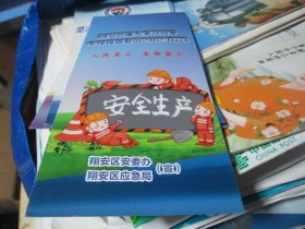 旅游手册旅游纪念：翔安区重大事故隐患专项排查整治2023行动（翔安区安委办 翔安区应急局）