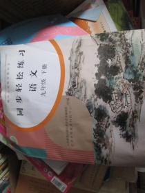 同步轻松练习·语文（九年级 下册）