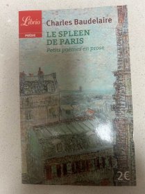 le spleen de paris