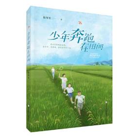 中国当代儿童长篇小说：少年奔跑在田间