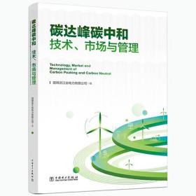 碳达峰碳中和技术、市场与管理