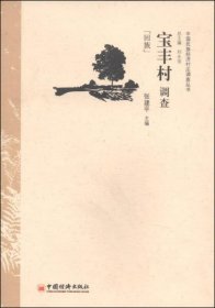 中央民族大学“985”工程中国民族经济村庄调查丛书：宝丰村调查