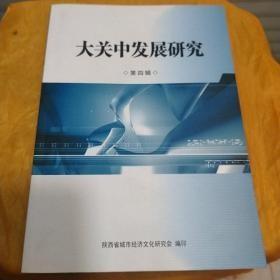 大关中发展研究【第五辑】