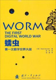 蠕虫：第一次数字世界大战