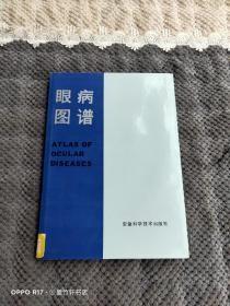 眼病图谱