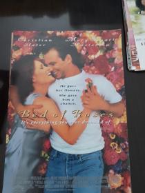 电影小海报 玫瑰花床 Bed of Roses (1996) 单个品种总价50起售 (请看店铺公告）欧美老欧美爱