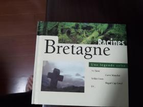 CD 95品 bretagne 布列塔尼乡村音乐 双碟