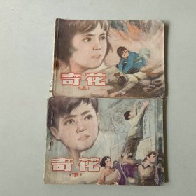 套书连环画 奇花 一套二本 上册封二有字