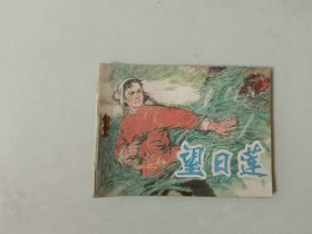 连环画64开小人书    望日莲