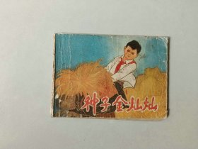 70年代连环画小人书  种子金灿灿    名家邓二龙作品