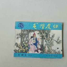 连环画64开 武侠 玉娇龙之六 龙潜虎归