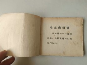 70年代连环画  小人书    林红和伙伴