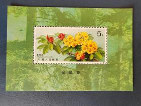 T162M杜鹃花（小型张）邮票