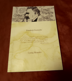 Friedrich Nietzsche (尼采传）英文版【正版 好品】
