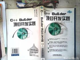 C++Builder项目开发实践