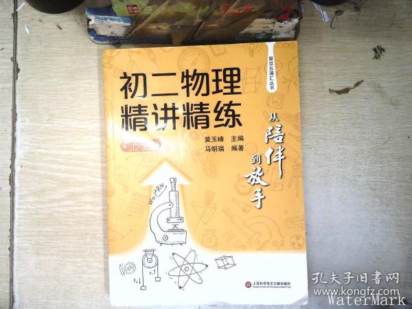 从陪伴到放手·复旦五浦汇丛书：初二物理精讲精练（上）