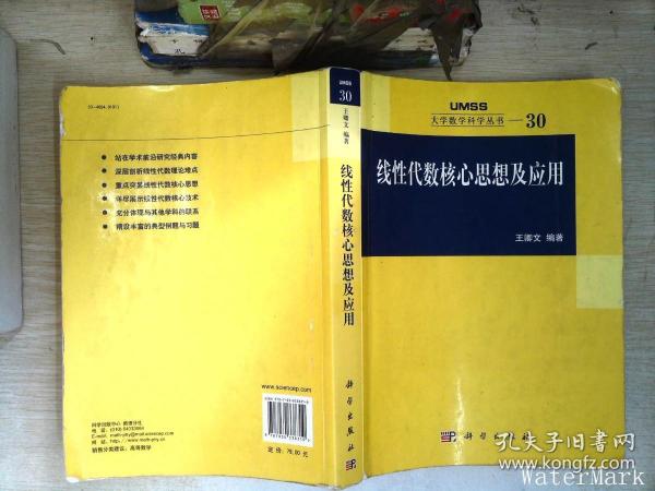 线性代数核心思想及应用：大学数学科学丛书30