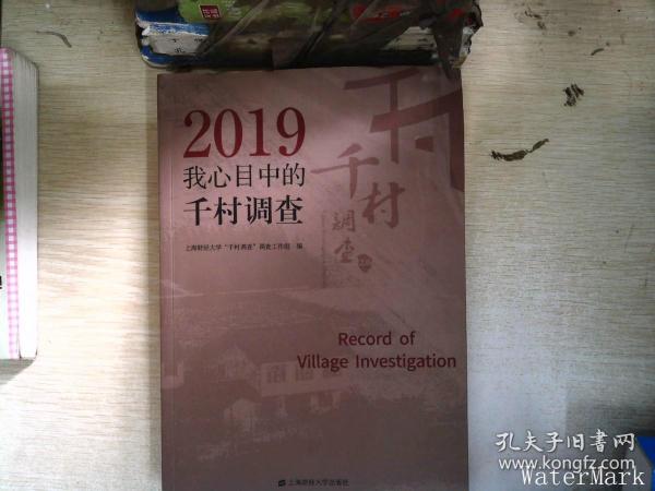 2019年我心目中的千村调查