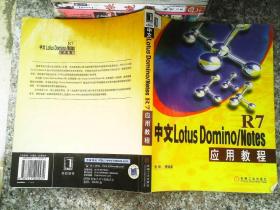 中文Lotus Domino/Notes R7应用教程